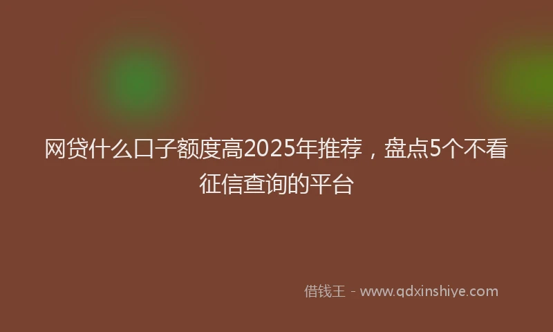 网贷什么口子额度高2025年推荐，盘点5个不看征信查询的平台