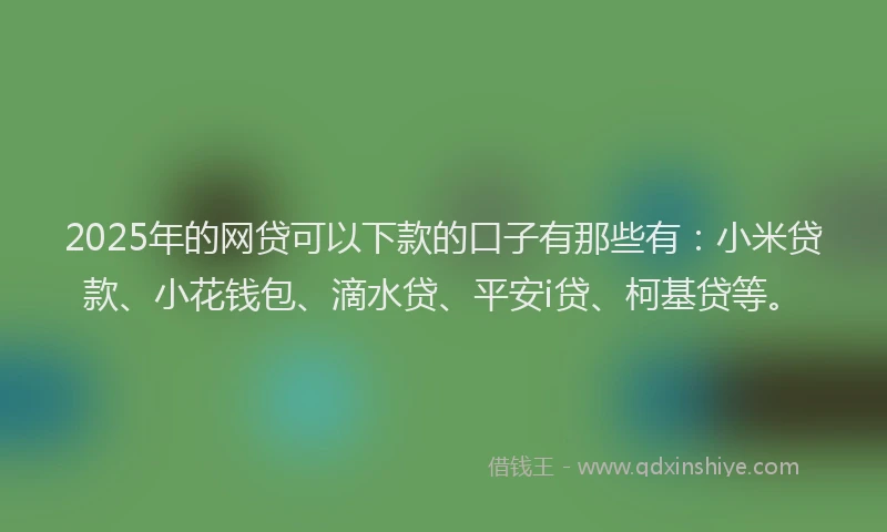 2025年的网贷可以下款的口子有那些有：小米贷款、小花钱包、滴水贷、平安i贷、柯基贷等。