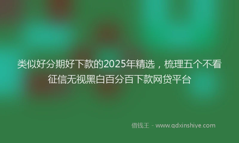 类似好分期好下款的2025年精选，梳理五个不看征信无视黑白百分百下款网贷平台