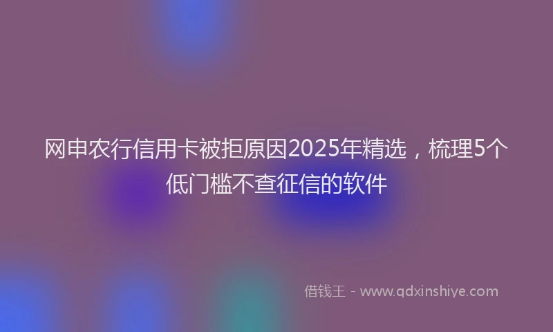 网申农行信用卡被拒原因2025年精选，梳理5个低门槛不查征信的软件