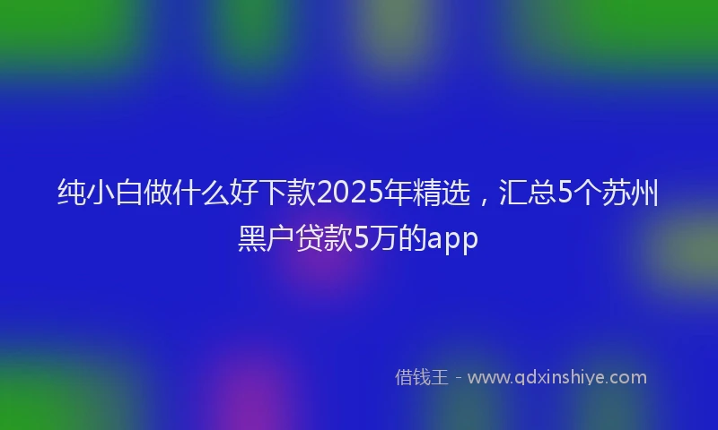 纯小白做什么好下款2025年精选，汇总5个苏州黑户贷款5万的app