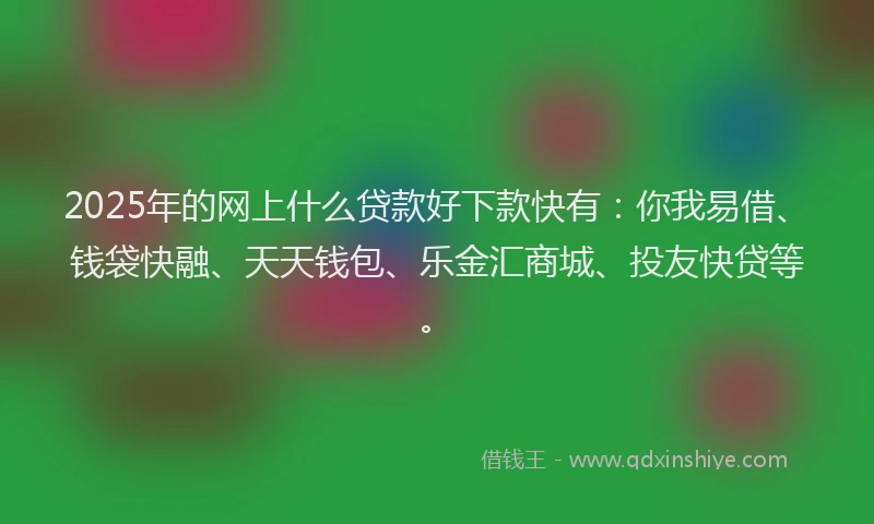 2025年的网上什么贷款好下款快有：你我易借、钱袋快融、天天钱包、乐金汇商城、投友快贷等。