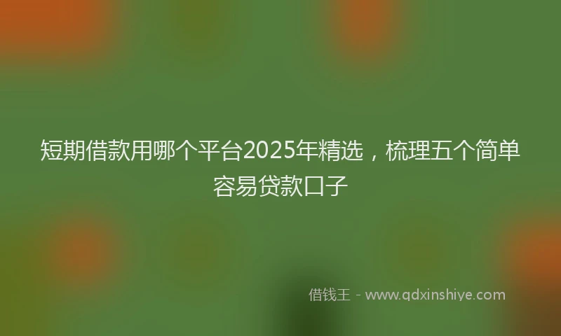 短期借款用哪个平台2025年精选，梳理五个简单容易贷款口子