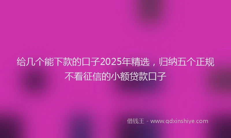 给几个能下款的口子2025年精选，归纳五个正规不看征信的小额贷款口子