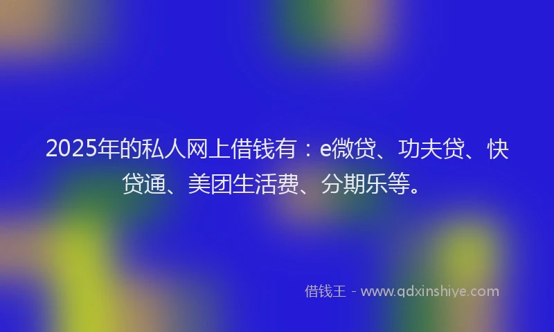 2025年的私人网上借钱有：e微贷、功夫贷、快贷通、美团生活费、分期乐等。