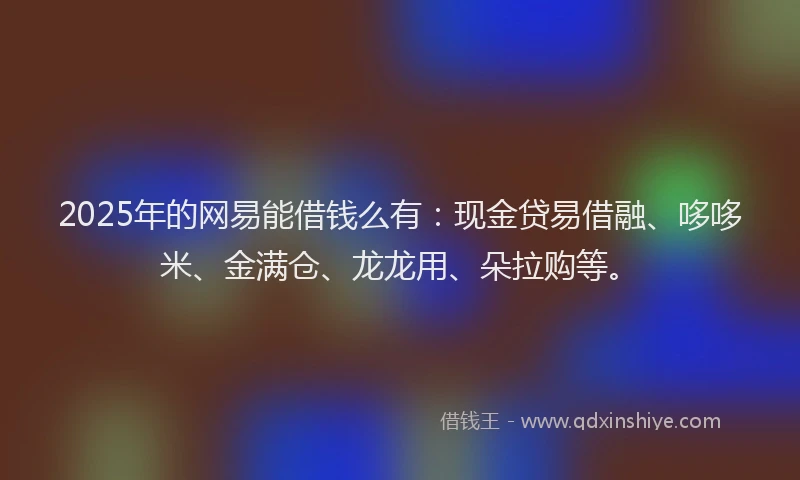 2025年的网易能借钱么有：现金贷易借融、哆哆米、金满仓、龙龙用、朵拉购等。