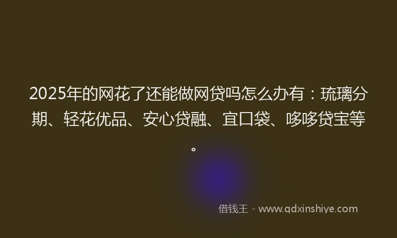 2025年的网花了还能做网贷吗怎么办有：琉璃分期、轻花优品、安心贷融、宜口袋、哆哆贷宝等。