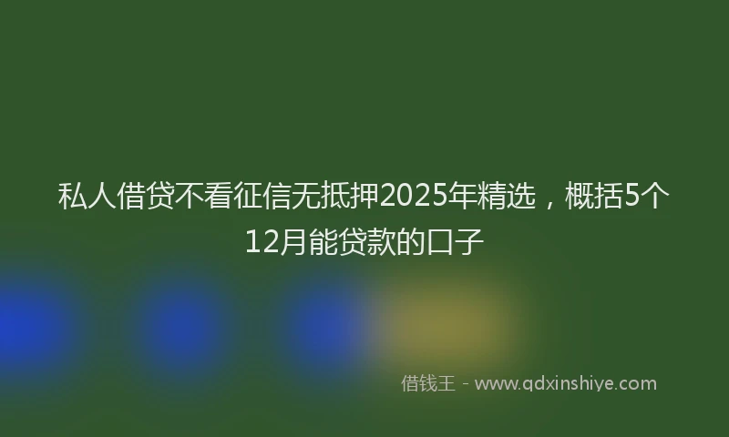 私人借贷不看征信无抵押2025年精选，概括5个12月能贷款的口子