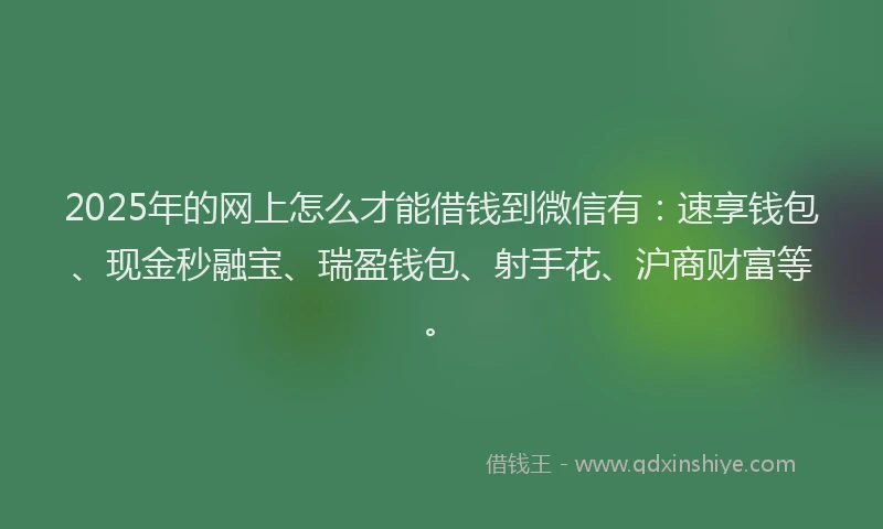 2025年的网上怎么才能借钱到微信有：速享钱包、现金秒融宝、瑞盈钱包、射手花、沪商财富等。