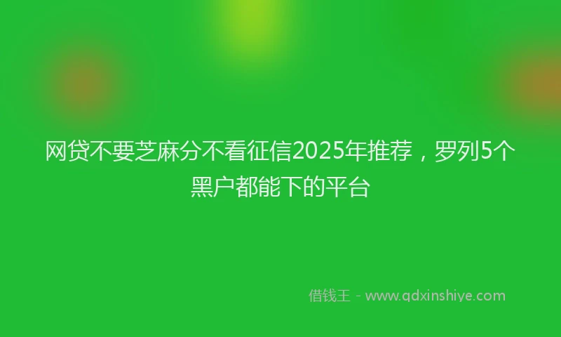 网贷不要芝麻分不看征信2025年推荐，罗列5个黑户都能下的平台