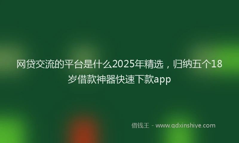 网贷交流的平台是什么2025年精选，归纳五个18岁借款神器快速下款app