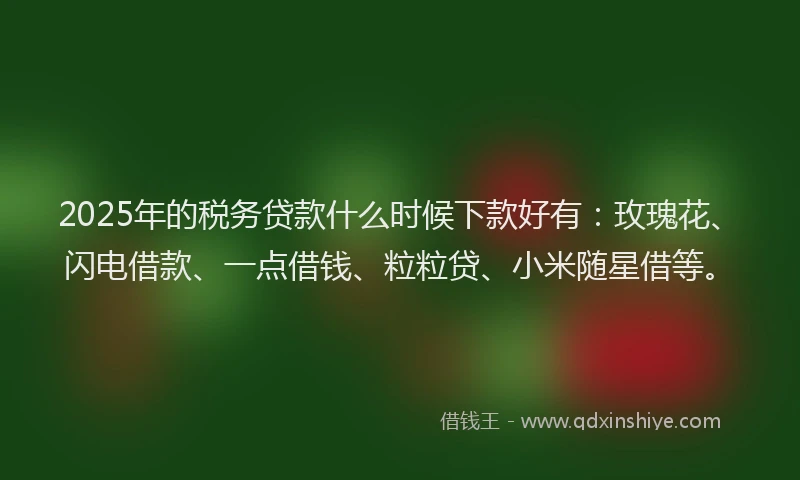 2025年的税务贷款什么时候下款好有：玫瑰花、闪电借款、一点借钱、粒粒贷、小米随星借等。