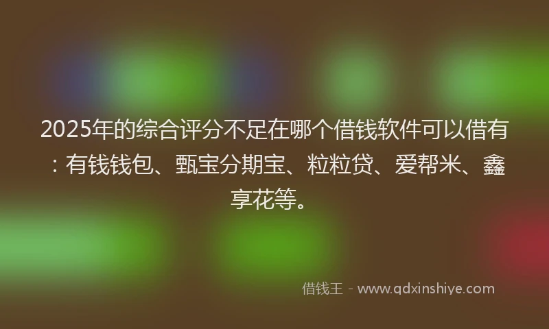 2025年的综合评分不足在哪个借钱软件可以借有：有钱钱包、甄宝分期宝、粒粒贷、爱帮米、鑫享花等。