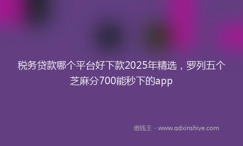 税务贷款哪个平台好下款2025年精选，罗列五个芝麻分700能秒下的app