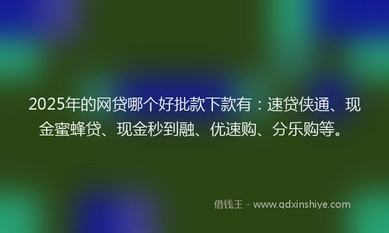 2025年的网贷哪个好批款下款有：速贷侠通、现金蜜蜂贷、现金秒到融、优速购、分乐购等。
