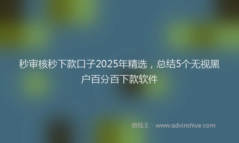 秒审核秒下款口子2025年精选，总结5个无视黑户百分百下款软件
