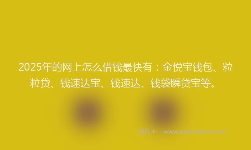 2025年的网上怎么借钱最快有：金悦宝钱包、粒粒贷、钱速达宝、钱速达、钱袋瞬贷宝等。