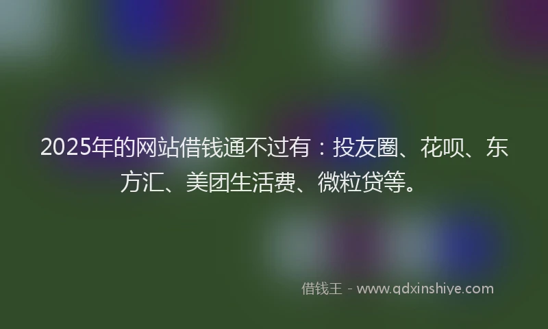 2025年的网站借钱通不过有：投友圈、花呗、东方汇、美团生活费、微粒贷等。