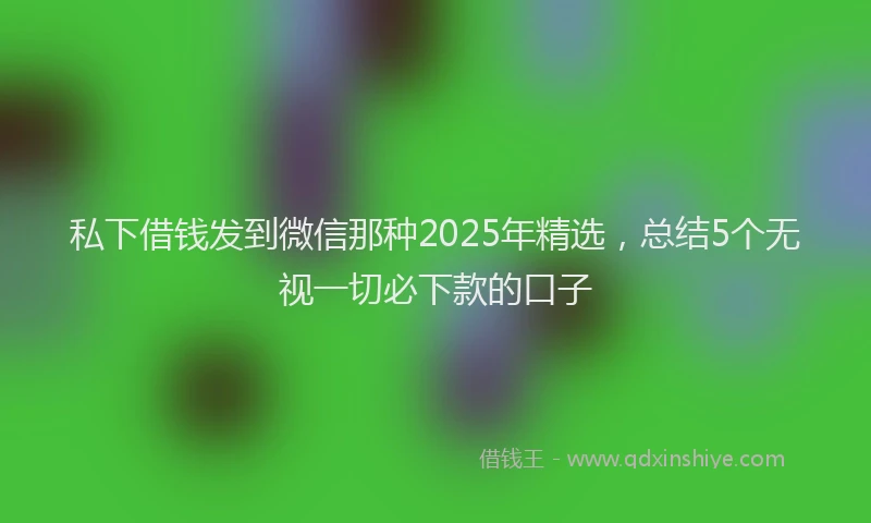 私下借钱发到微信那种2025年精选，总结5个无视一切必下款的口子