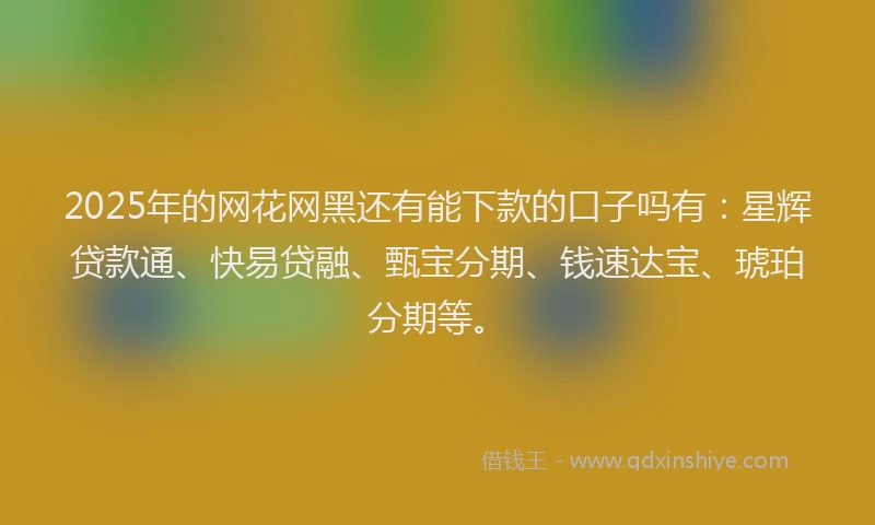 2025年的网花网黑还有能下款的口子吗有：星辉贷款通、快易贷融、甄宝分期、钱速达宝、琥珀分期等。