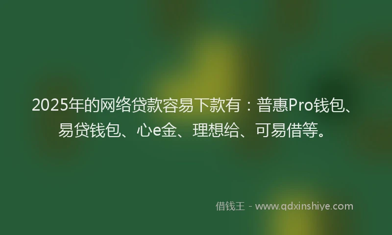 2025年的网络贷款容易下款有：普惠Pro钱包、易贷钱包、心e金、理想给、可易借等。