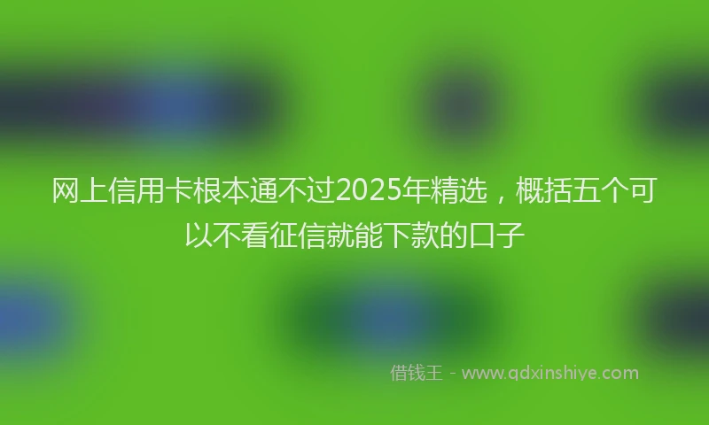 网上信用卡根本通不过2025年精选，概括五个可以不看征信就能下款的口子