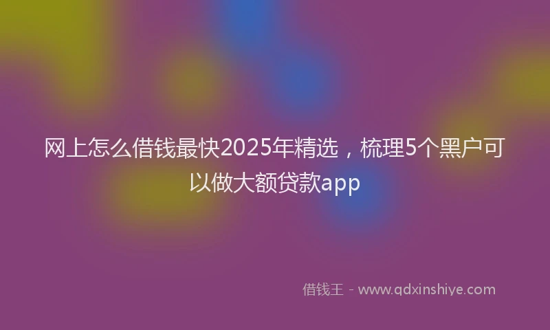 网上怎么借钱最快2025年精选，梳理5个黑户可以做大额贷款app
