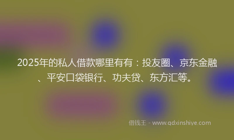 2025年的私人借款哪里有有：投友圈、京东金融、平安口袋银行、功夫贷、东方汇等。