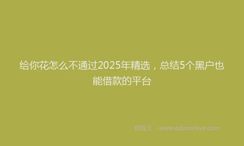 给你花怎么不通过2025年精选，总结5个黑户也能借款的平台