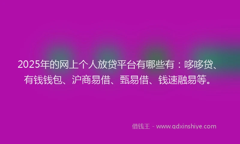 2025年的网上个人放贷平台有哪些有：哆哆贷、有钱钱包、沪商易借、甄易借、钱速融易等。
