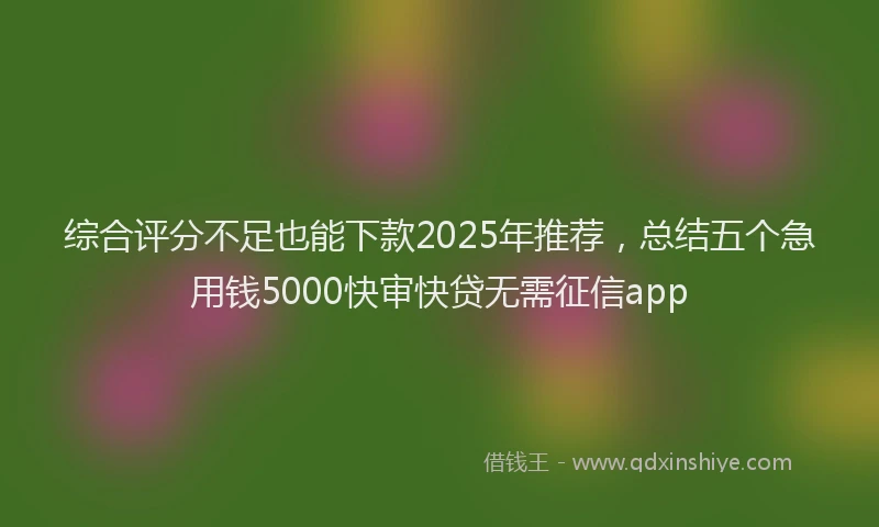综合评分不足也能下款2025年推荐，总结五个急用钱5000快审快贷无需征信app