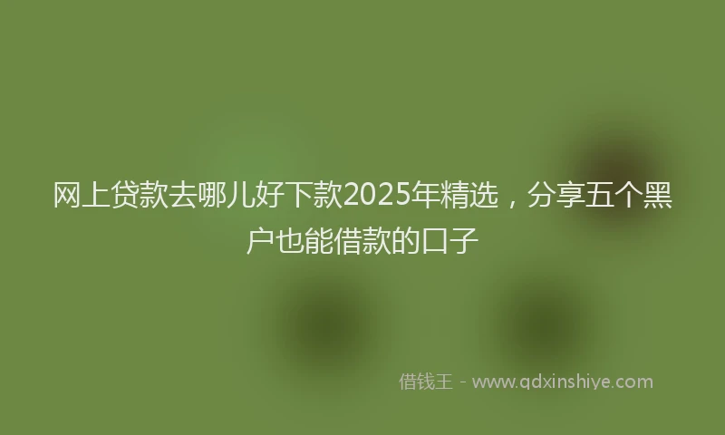 网上贷款去哪儿好下款2025年精选，分享五个黑户也能借款的口子