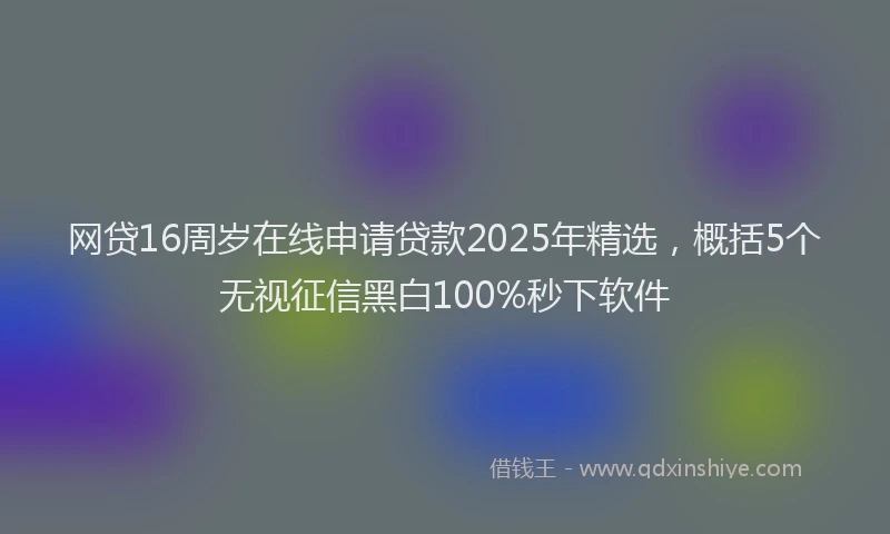 网贷16周岁在线申请贷款2025年精选，概括5个无视征信黑白100%秒下软件