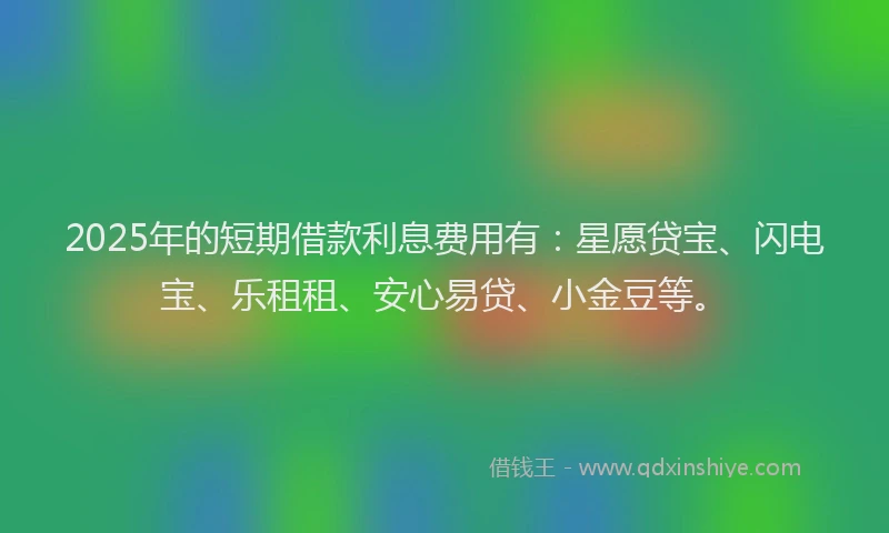 2025年的短期借款利息费用有：星愿贷宝、闪电宝、乐租租、安心易贷、小金豆等。