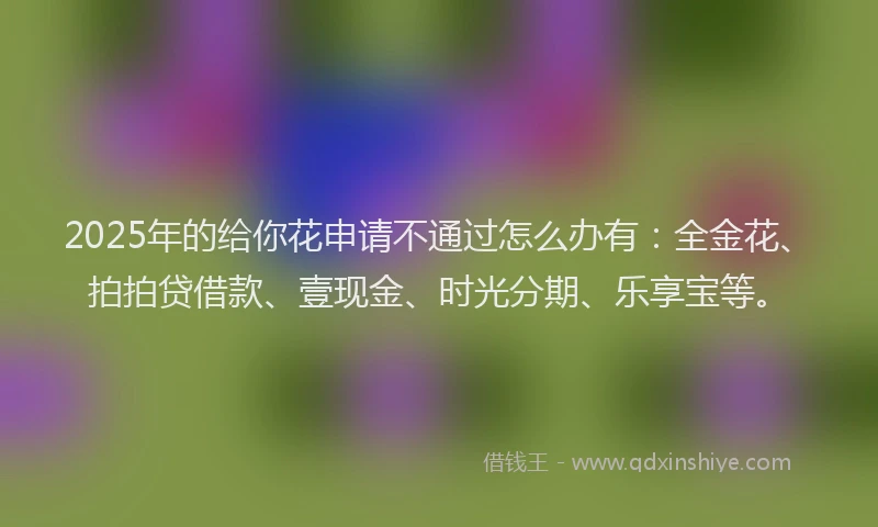 2025年的给你花申请不通过怎么办有：全金花、拍拍贷借款、壹现金、时光分期、乐享宝等。