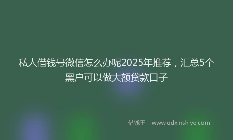私人借钱号微信怎么办呢2025年推荐，汇总5个黑户可以做大额贷款口子