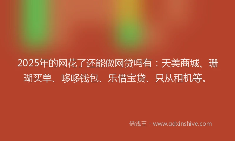 2025年的网花了还能做网贷吗有：天美商城、珊瑚买单、哆哆钱包、乐借宝贷、只从租机等。