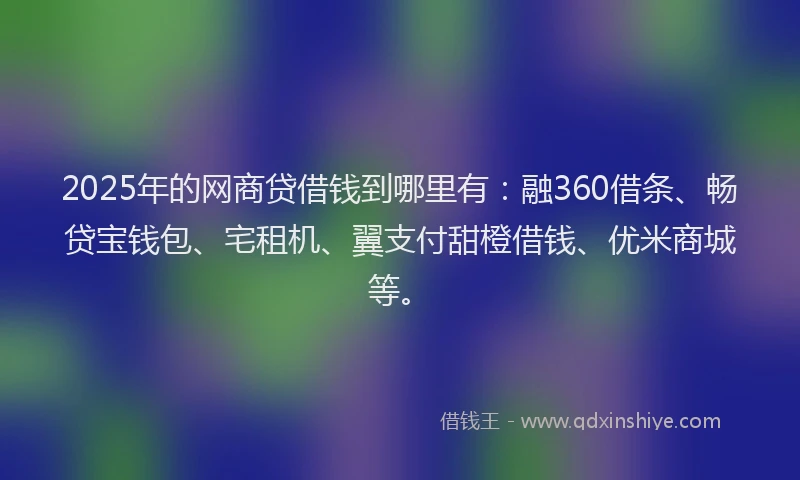 2025年的网商贷借钱到哪里有：融360借条、畅贷宝钱包、宅租机、翼支付甜橙借钱、优米商城等。