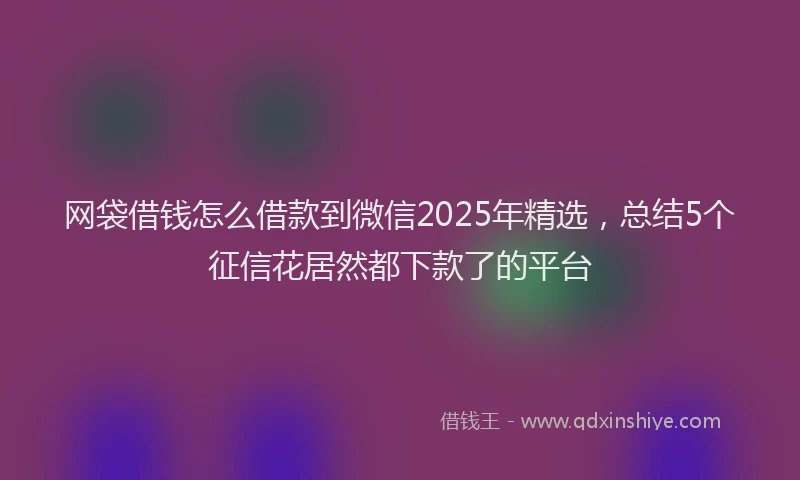 网袋借钱怎么借款到微信2025年精选，总结5个征信花居然都下款了的平台