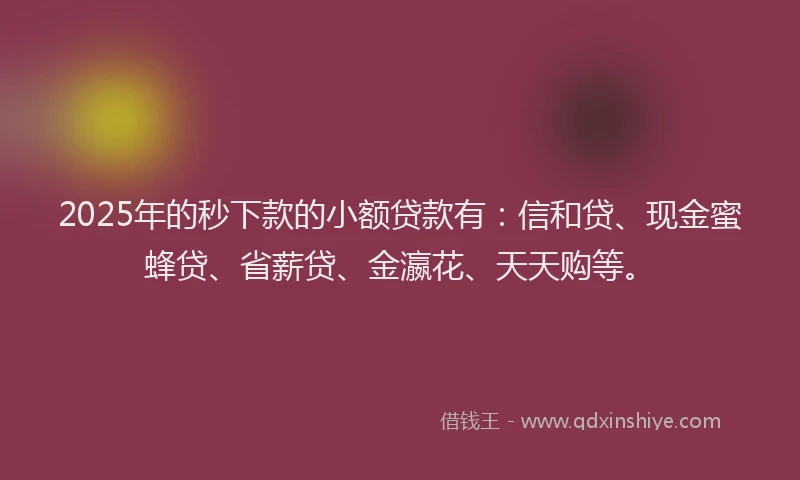 2025年的秒下款的小额贷款有：信和贷、现金蜜蜂贷、省薪贷、金瀛花、天天购等。