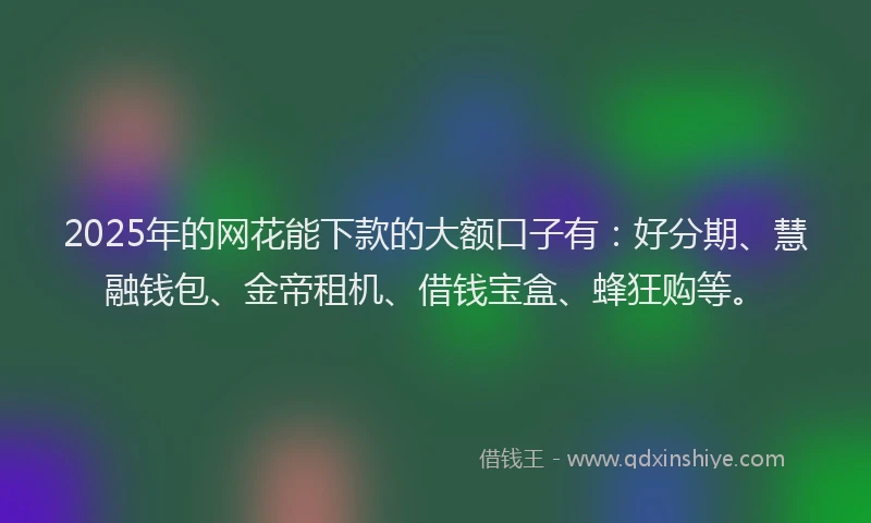 2025年的网花能下款的大额口子有：好分期、慧融钱包、金帝租机、借钱宝盒、蜂狂购等。
