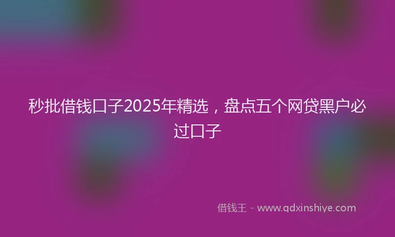 秒批借钱口子2025年精选，盘点五个网贷黑户必过口子