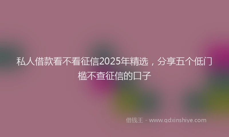 私人借款看不看征信2025年精选，分享五个低门槛不查征信的口子