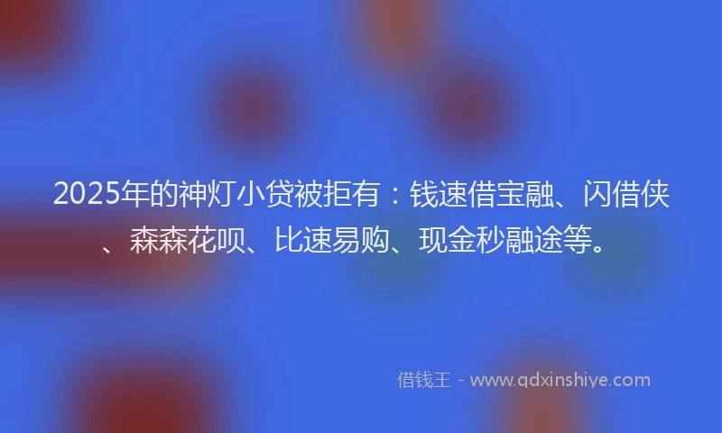 2025年的神灯小贷被拒有：钱速借宝融、闪借侠、森森花呗、比速易购、现金秒融途等。