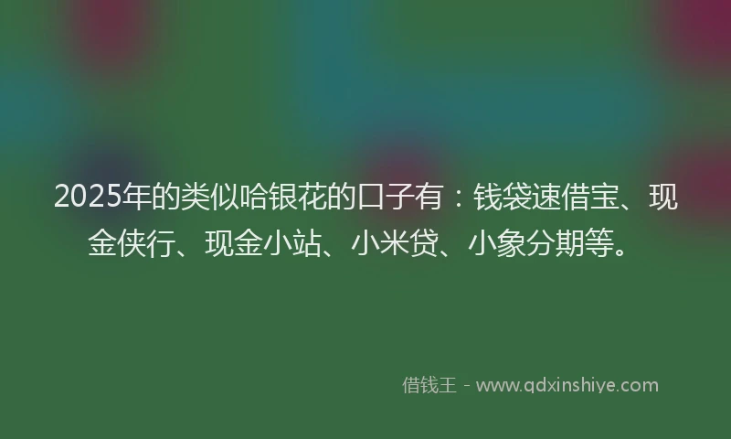 2025年的类似哈银花的口子有：钱袋速借宝、现金侠行、现金小站、小米贷、小象分期等。