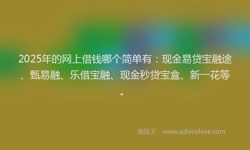 2025年的网上借钱哪个简单有：现金易贷宝融途、甄易融、乐借宝融、现金秒贷宝盒、新一花等。