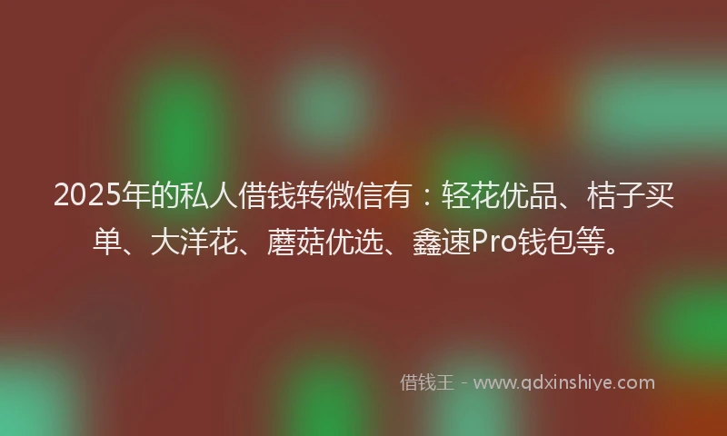 2025年的私人借钱转微信有：轻花优品、桔子买单、大洋花、蘑菇优选、鑫速Pro钱包等。