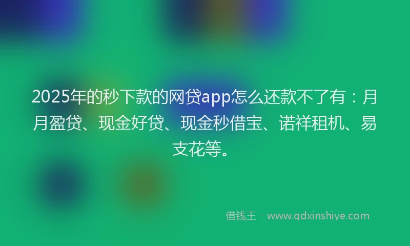 2025年的秒下款的网贷app怎么还款不了有：月月盈贷、现金好贷、现金秒借宝、诺祥租机、易支花等。