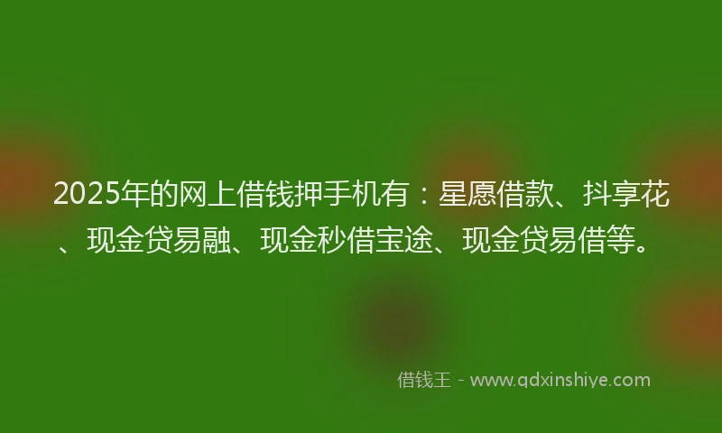 2025年的网上借钱押手机有：星愿借款、抖享花、现金贷易融、现金秒借宝途、现金贷易借等。