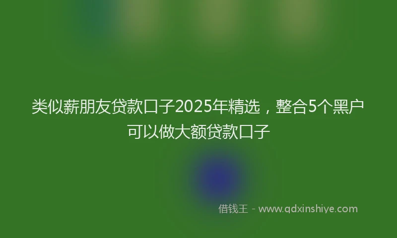 类似薪朋友贷款口子2025年精选，整合5个黑户可以做大额贷款口子
